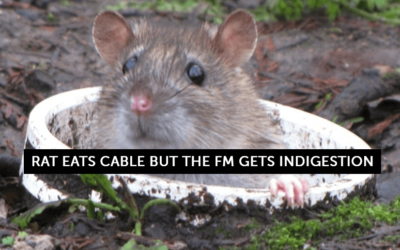 Preventing damage to underground utilities